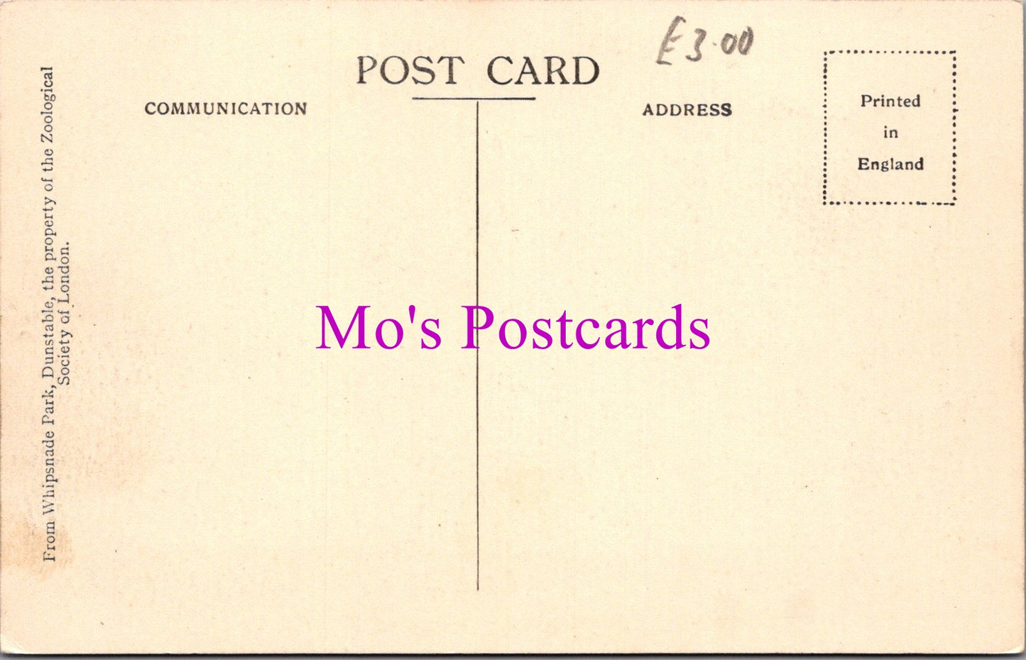 Animals Postcard - Flamingoes, Whipsnade Park DZ351