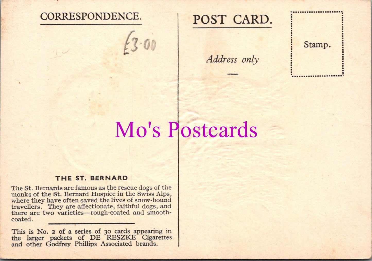 Animals Postcard - Dogs, The St Bernard DZ353