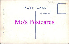 Load image into Gallery viewer, Comic Postcard - Saucy, Marriage, Bride, Bridegroom, Reception HM104