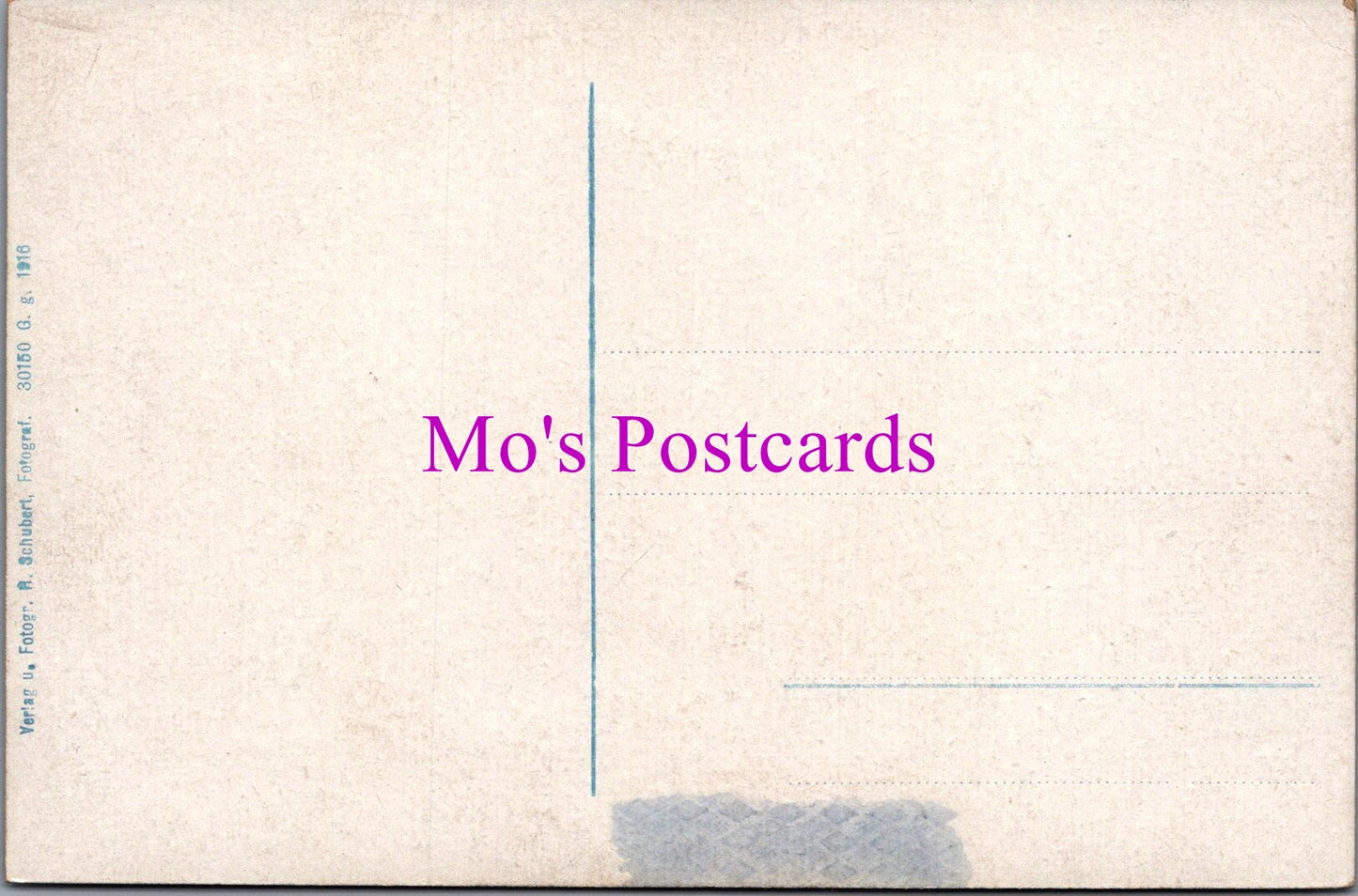 Germany Postcard - Gruss Aus Schneverdingen, Schulstrasse SW14430