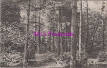 Load image into Gallery viewer, Scotland Postcard - The Woodlands, Dullatur DZ265