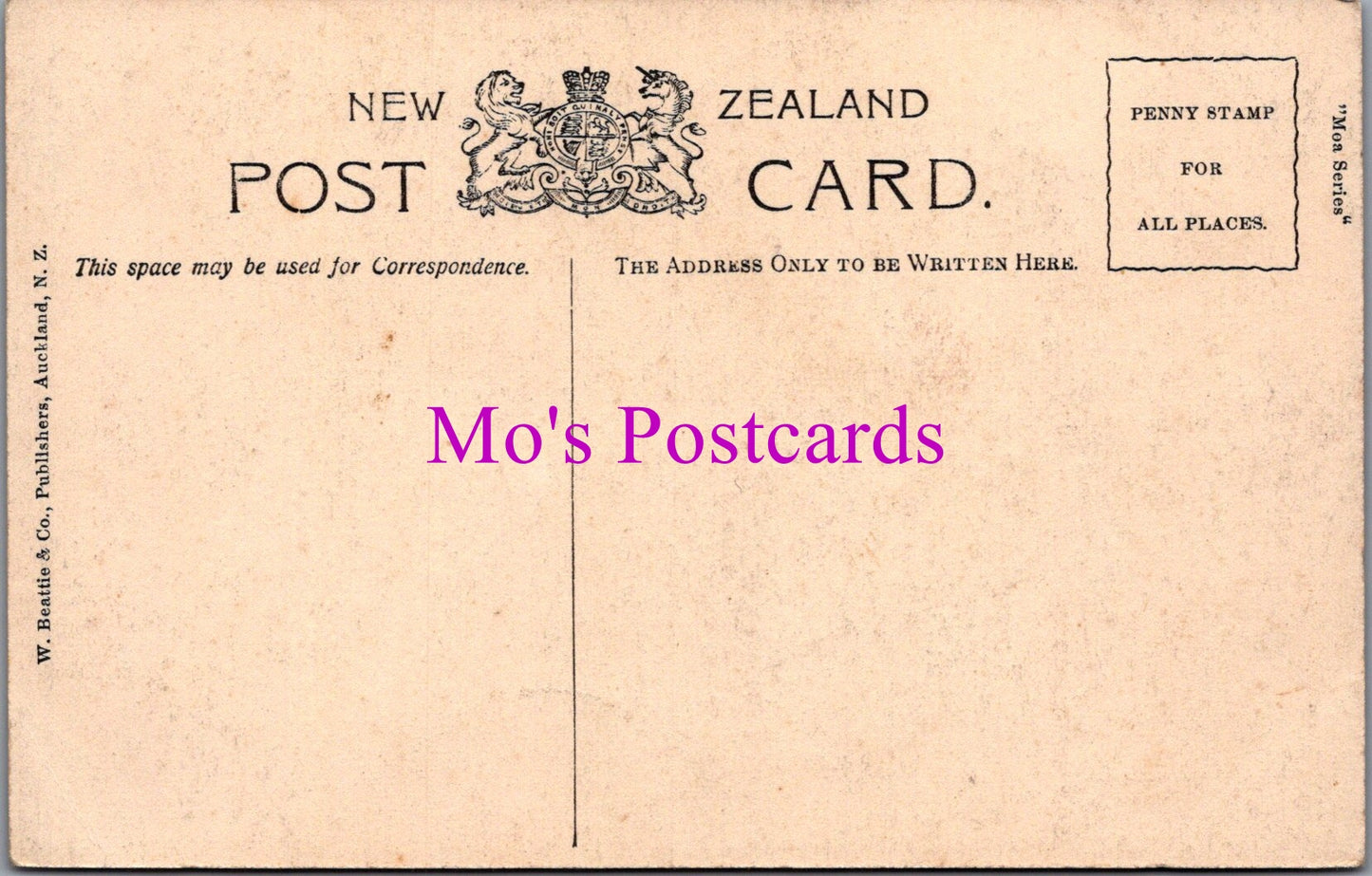 New Zealand Postcard - Ruakurl Caves, Waitomo DZ270