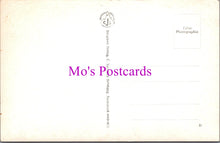 Load image into Gallery viewer, Austria Postcard - St Wolfgang Eingangzum Weissenrossl DZ273