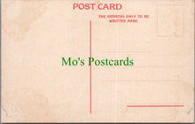 Load image into Gallery viewer, Animal Postcard - Baboon, Monkeys, South Africa SW13998