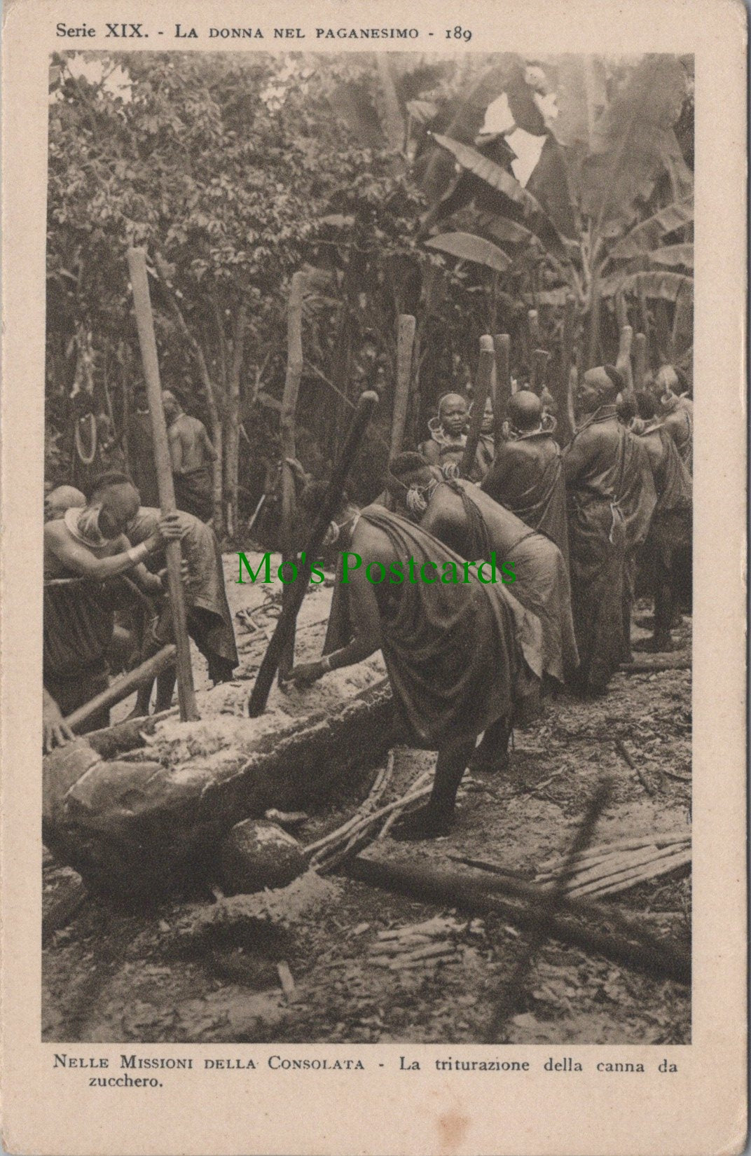 Africa Postcard - Nelle Missioni Della Consolata SW14006