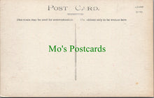 Load image into Gallery viewer, Sussex Postcard - The "Cat House", Henfield SW14026