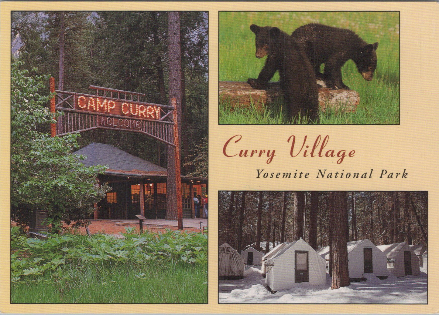 America Postcard - Yosemite National Park, Curry Village DC1725
