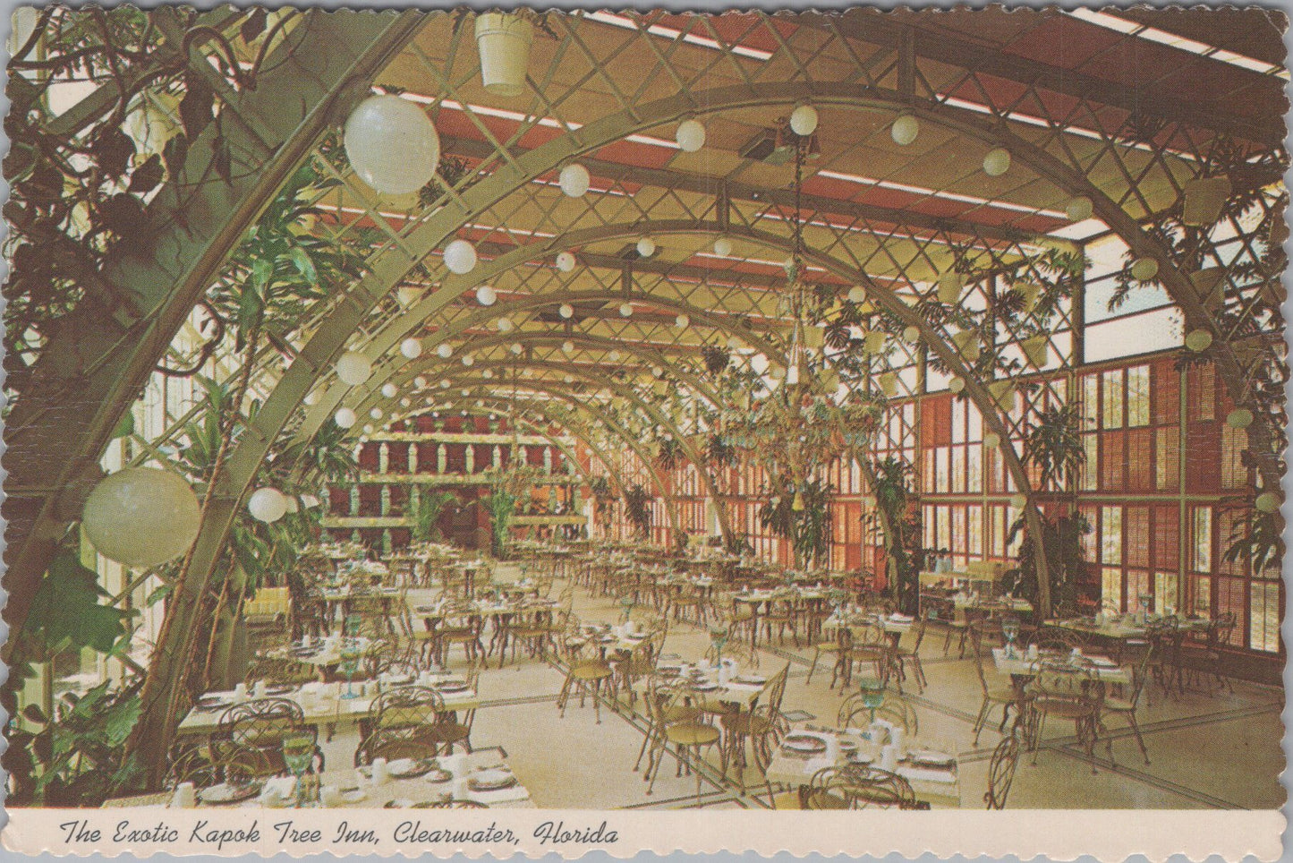 America Postcard - The Kapok Tree Inn, Clearwater DC1764