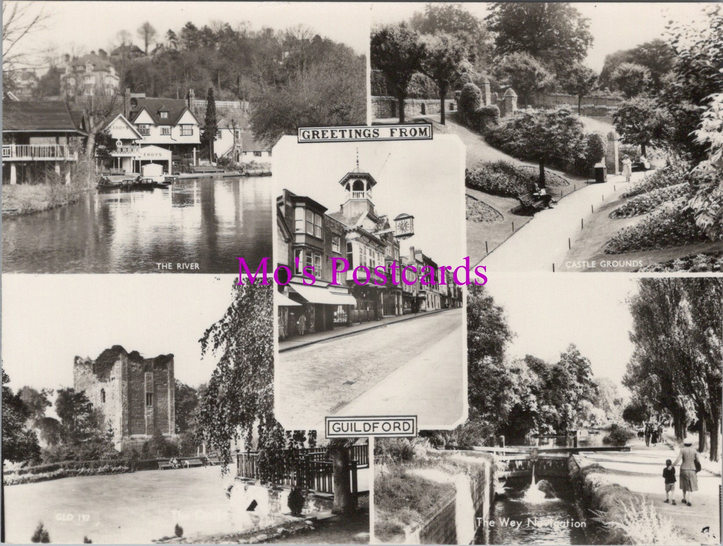 Surrey Postcard - Greetings From Guildford SW15501