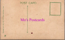 Load image into Gallery viewer, Nature Postcard - South African Wild Flowers SW14662