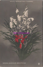 Load image into Gallery viewer, Nature Postcard - South African Wild Flowers SW14663