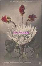 Load image into Gallery viewer, Nature Postcard - South African Wild Flowers SW14664