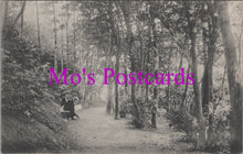 Load image into Gallery viewer, Kent Postcard - Pine Walk, Folkestone SW14508