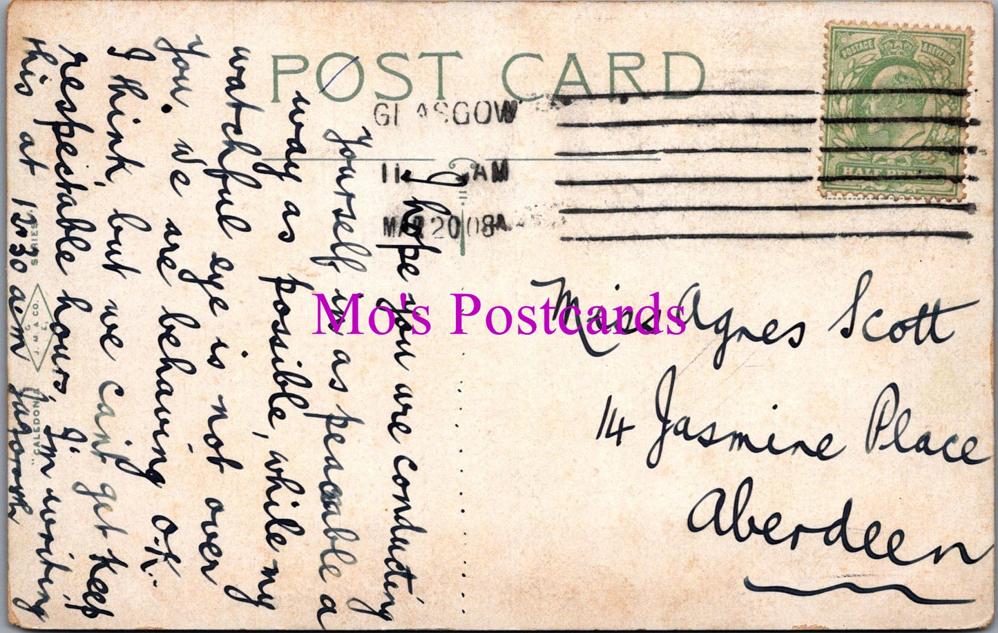 Scotland Postcard - Glasgow, Kibble Palace, Botanic Gardens SW16297