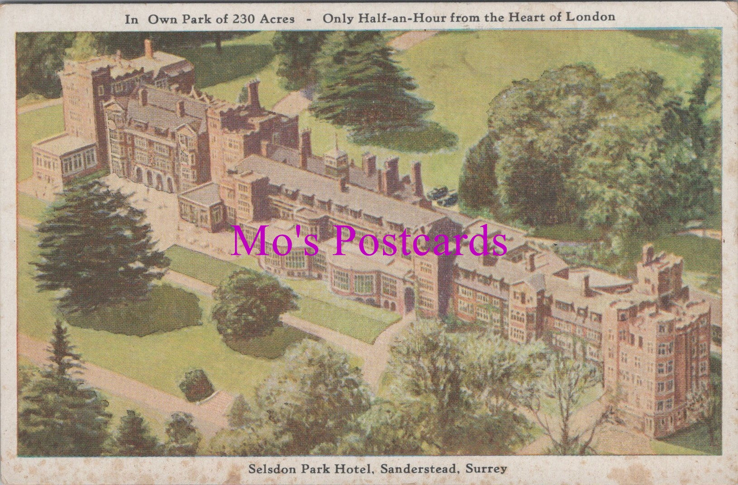Surrey Postcard - Selsdon Park Hotel, Sanderstead SW16707
