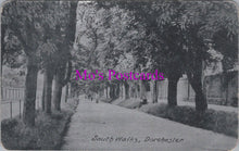 Load image into Gallery viewer, Dorset Postcard - South Walks, Dorchester SW14905