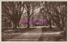 Load image into Gallery viewer, Hampshire Postcard - New Forest, Ornamental Drive, Brinkenwood SW15194