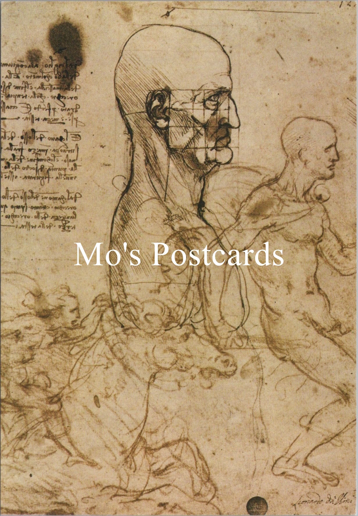 Art Postcard - Leonardo, Studi Della Fisionomia Umana e Cavalieri SW16774