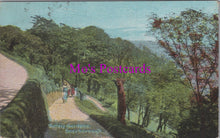 Load image into Gallery viewer, Yorkshire Postcard - Valley Gardens, Scarborough SW15804