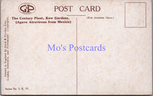 Load image into Gallery viewer, London Postcard - Kew Gardens, The Century Plant SW14374