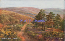 Load image into Gallery viewer, Somerset Postcard - Webber's Post, Exmoor DC2197