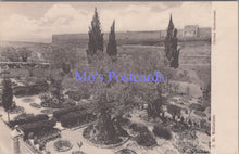 Load image into Gallery viewer, Israel Postcard - Jerusalem, Flortus Gethsemani DC2205