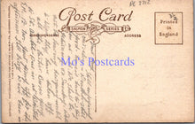 Load image into Gallery viewer, Cornwall Postcard - Newquay Pleasure Grounds and Viaduct DC2212