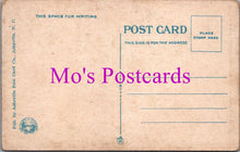 Load image into Gallery viewer, Literature Postcard - No'th Ca'lina, American Poet Bertoon Braley DZ42