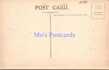 Load image into Gallery viewer, Warwickshire Postcard - Stratford-On-Avon. Knot Gardens DC1697