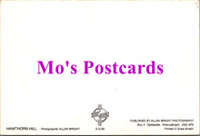 Load image into Gallery viewer, Scotland Postcard - Hawthorn Hill SW15000