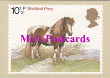 Load image into Gallery viewer, Animals Postcard - Shetland Pony Stamp Design SW15008