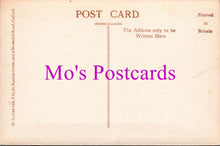 Load image into Gallery viewer, London Postcard - Lewisham Park SW15323