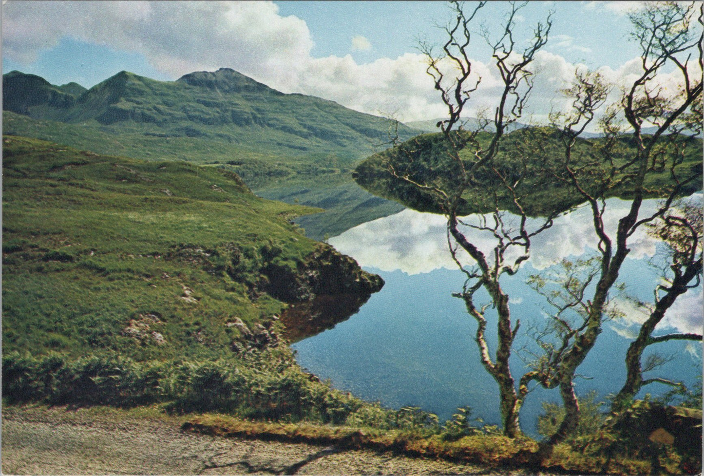 Scotland Postcard - Loch Assynt and Quinag, Lochinver, Sutherland SW15897