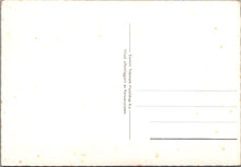 Load image into Gallery viewer, Norway Postcard - Telemark Flyselskap SW15920