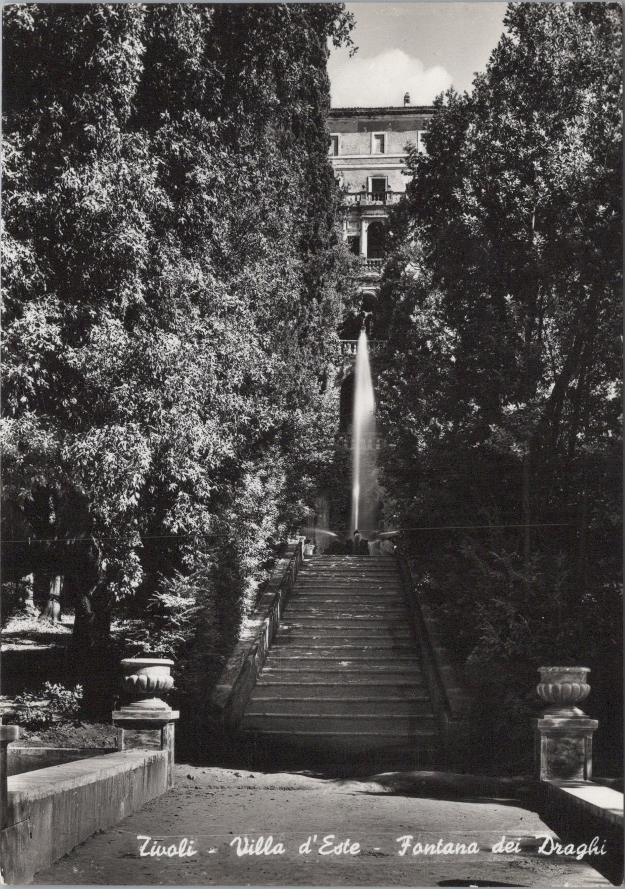 Italy Postcard - Tivoli, Villa D'Este, The Dragons Fountain SW15955