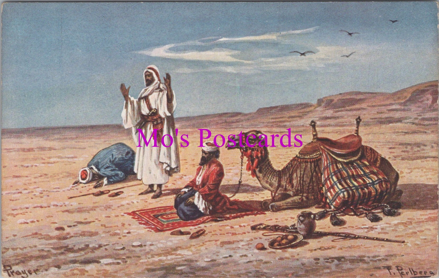 Religion Postcard - Prayers in The Desert, Camel SW14211