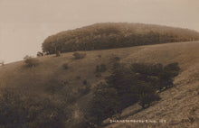 Load image into Gallery viewer, Sussex Postcard - Chanctonbury Ring SW19731