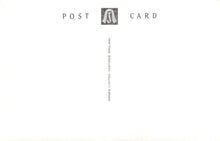 Load image into Gallery viewer, White postcard with 'POST CARD' text and a logo on a white background