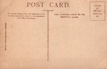 Load image into Gallery viewer, Theatrical Postcard - Miss Evelyn Millard Edwardian Actress XT1231