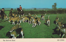 Load image into Gallery viewer, Hounds and riders from The Belvoir Hunt on a grassy field with hedges and blue sky.