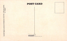 Load image into Gallery viewer, Back of a postcard with text and a line drawing on a beige background