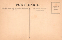 Load image into Gallery viewer, Vintage postcard with text and design elements on a beige background