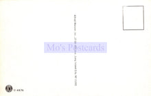 Load image into Gallery viewer, Back of a postcard with 'Mo's Postcards' branding and address information.