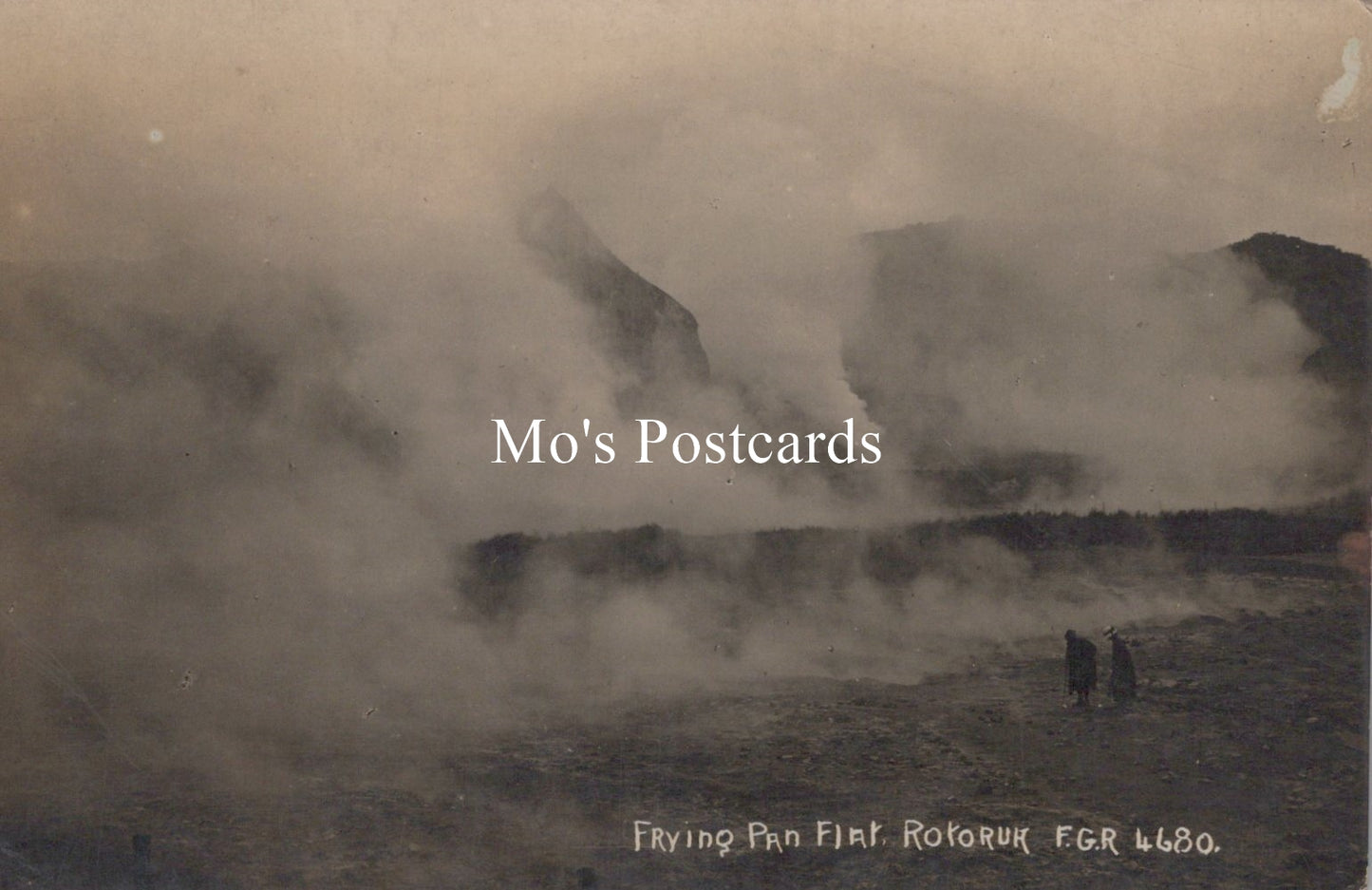 New Zealand Postcard - Frying Pan Flat, Rotorua SW19194
