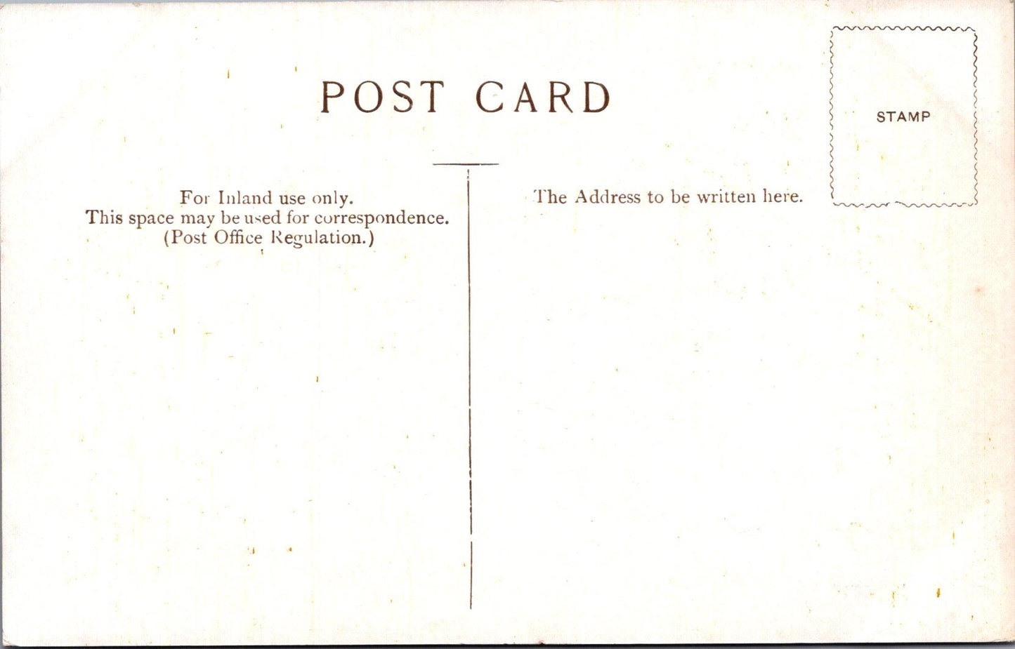 Norfolk Postcard - Birds on Horsey Mere, Norfolk Broads SW17810