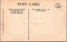 Load image into Gallery viewer, Animals Postcard - Cats, The Belles of The Kitchen SW17889