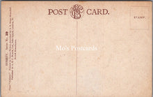 Load image into Gallery viewer, Surrey Postcard - From Richmond Hill SW18314