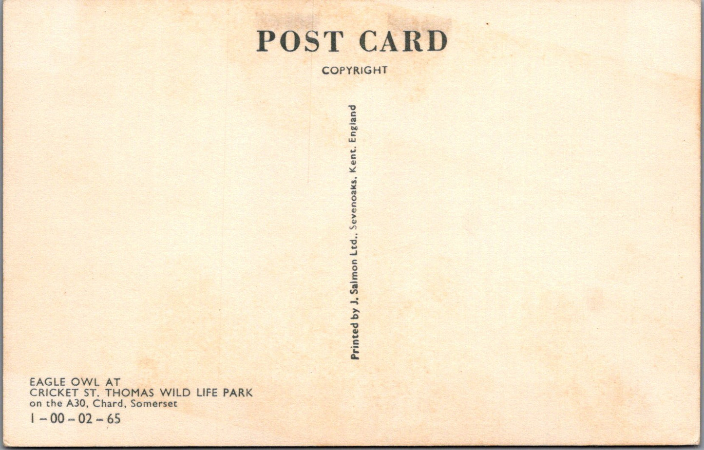 Animals Postcard - Birds, Eagle Owl, Cricket St Thomas Wildlife Park SW17005