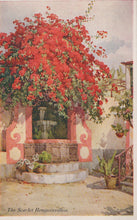 Load image into Gallery viewer, Vintage-style illustration of a garden with red bougainvillea and a fountain.