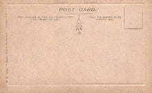 Load image into Gallery viewer, Back of a vintage postcard with text and design elements.